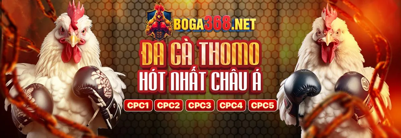 Chương trình VIP và phần thưởng độc quyền 5men