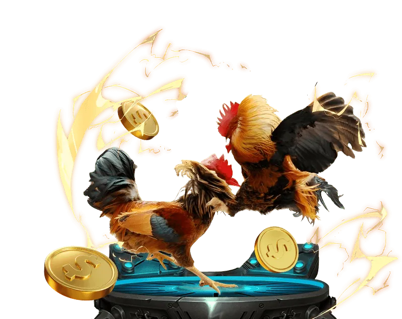 Hình ảnh một trọng tài đang giám sát chặt chẽ trận đấu đá gà, đảm bảo tuân thủ mọi quy tắc của 5men link vào.